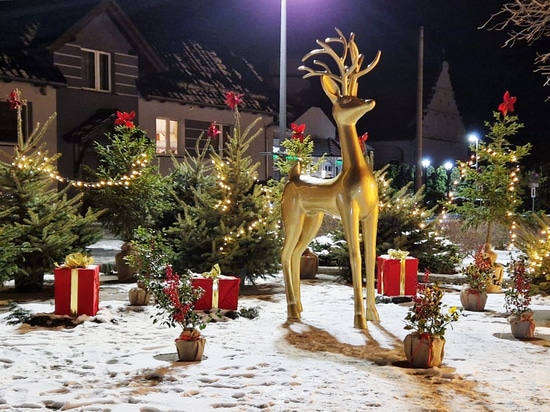 What we can learn from this season’s Christmas decorations