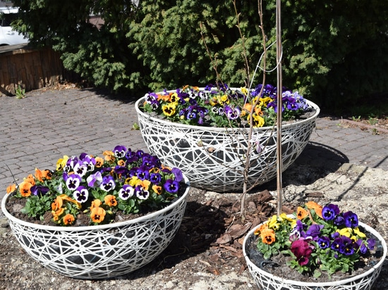 Easter trends in urban spaces: shaping spring arrangements