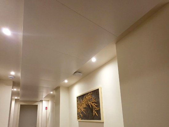Hook on ceiling system with hidden structure