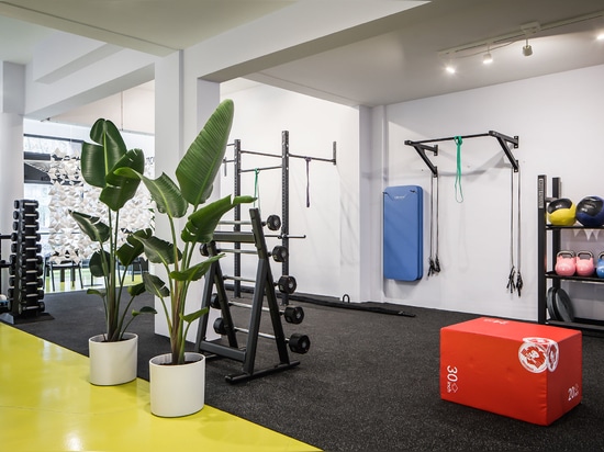 Custom made room divider screens by Bloomming for Workoutclub Rotterdam