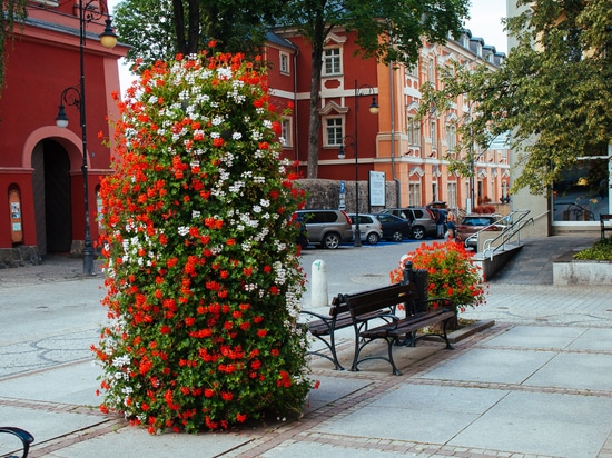 Emotional design in public spaces: shaping everyday urban experience