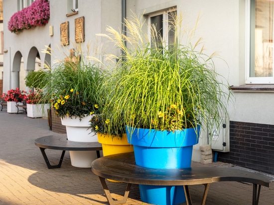 Spring arrangements in public spaces: colour, lightness and structure