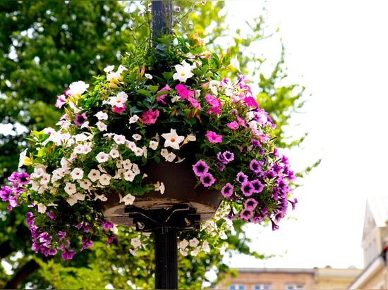 Spring arrangements in public spaces: colour, lightness and structure