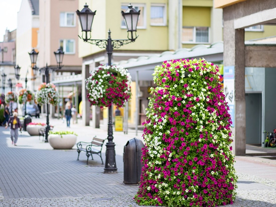 Flower towers in urban space: seasonal greenery with strong visual impact