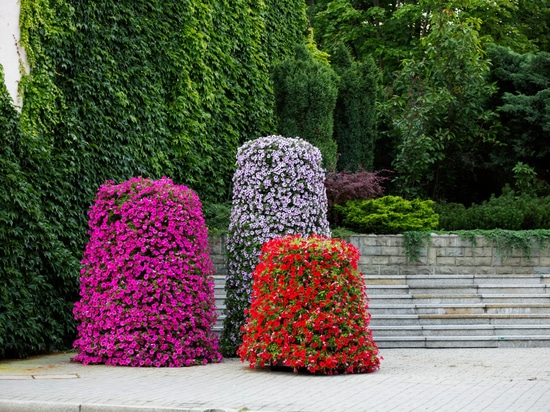 Flower towers in urban space: seasonal greenery with strong visual impact