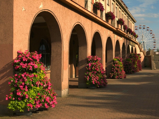 Flower towers in urban space: seasonal greenery with strong visual impact