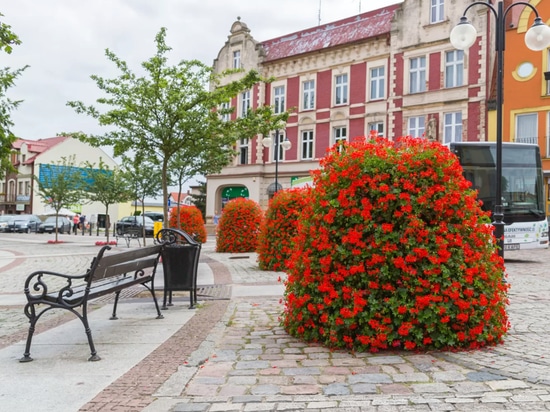 Flower towers in urban space: seasonal greenery with strong visual impact