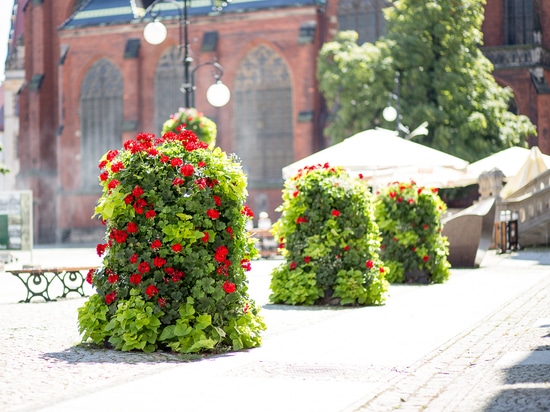 Flower towers in urban space: seasonal greenery with strong visual impact