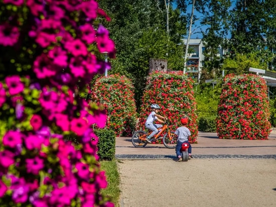 Flower towers in urban space: seasonal greenery with strong visual impact