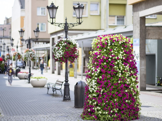 Urban planting in public spaces: seasonal greenery for cities