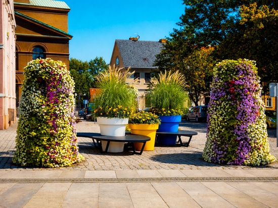 Urban planting in public spaces: seasonal greenery for cities