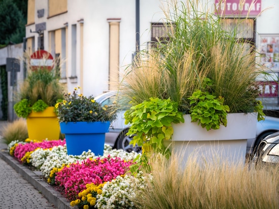 Urban planting in public spaces: seasonal greenery for cities