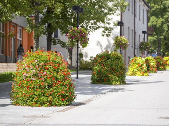 Urban planting in public spaces: seasonal greenery for cities