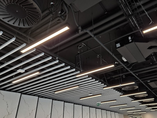 Atena Baffle Ceiling System