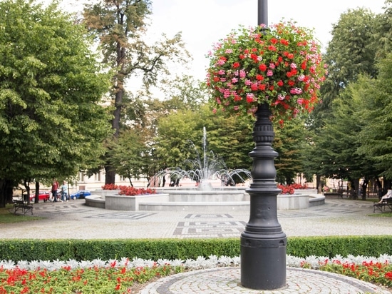 Hanging flower planters for urban spaces: vertical greenery for cities