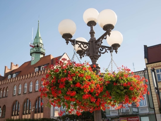 Hanging flower planters for urban spaces: vertical greenery for cities