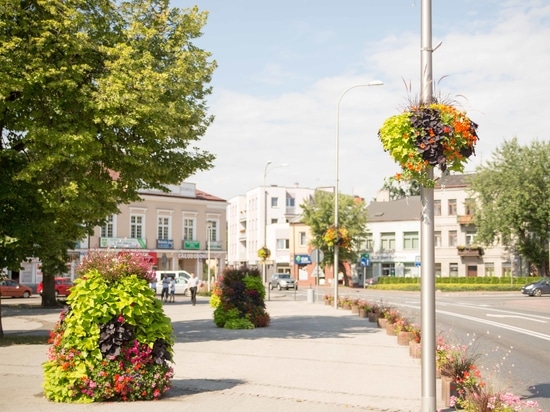 Hanging flower planters for urban spaces: vertical greenery for cities