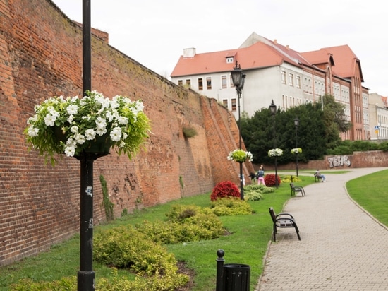 Hanging flower planters for urban spaces: vertical greenery for cities