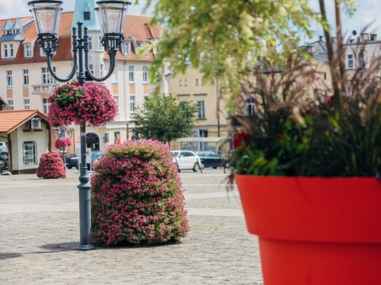 Hanging flower planters for urban spaces: vertical greenery for cities