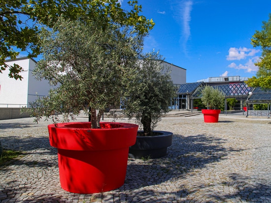 Cities during hot weather: creating comfortable public spaces