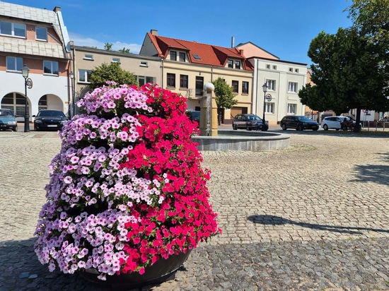 Flower towers in urban spaces: the Konin example