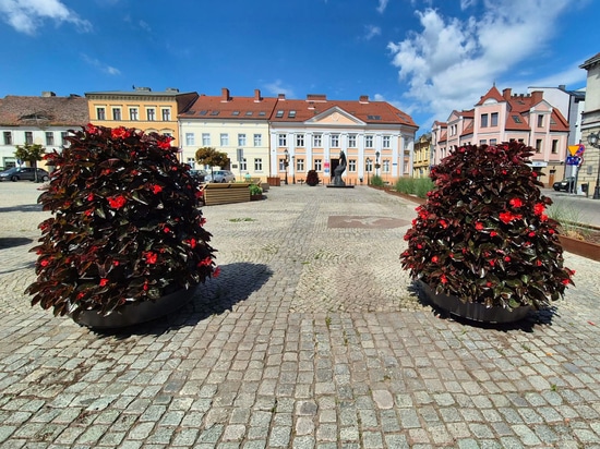 Flower towers in urban spaces: the Konin example