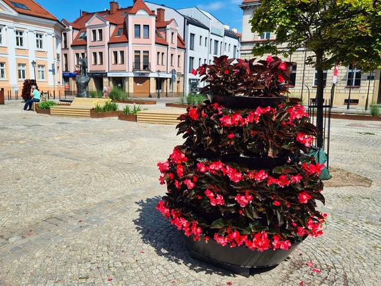 Flower towers in urban spaces: the Konin example