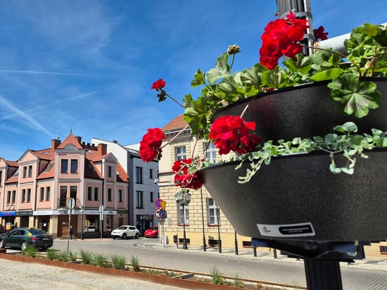 Flower towers in urban spaces: the Konin example