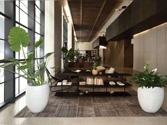 Gale Miami | MeatPacking rug collection