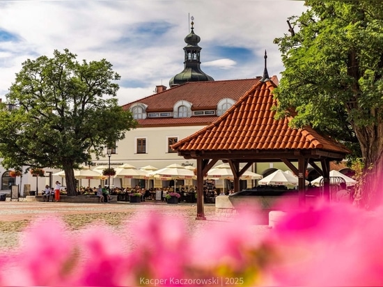 Urban greenery and city identity: the Krosno example
