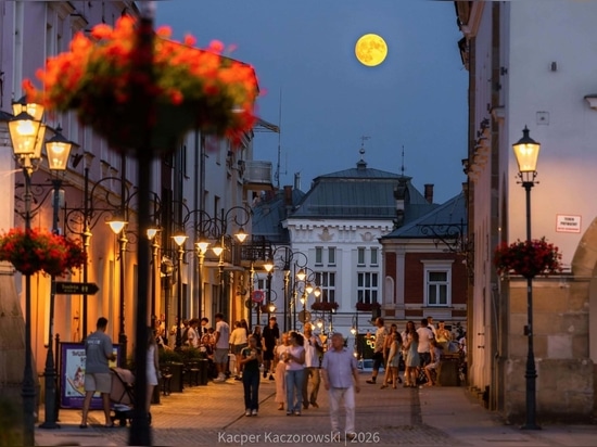 Urban greenery and city identity: the Krosno example