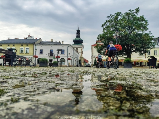 Urban greenery and city identity: the Krosno example