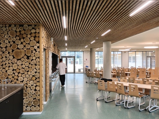 Lighting in Schools
