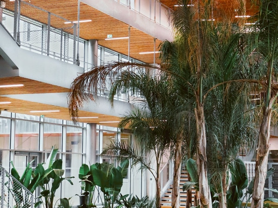 Lighting in Schools