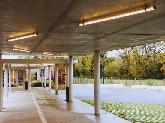 Lighting in Schools
