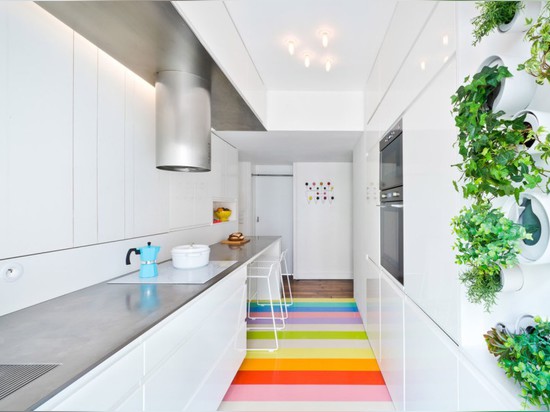 Fashion designer’s stylish tiny apartment in Paris has its own vertical herb garden