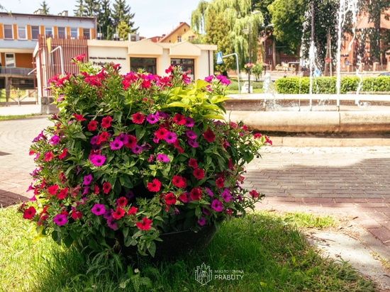 Flower towers and hanging planters: the Prabuty example