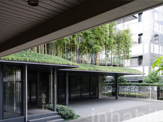 A lush bamboo forest thrives atop the Ekouin Buddhist Temple in Tokyo