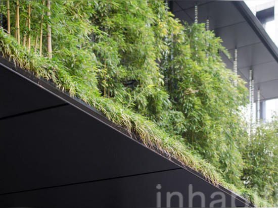 A lush bamboo forest thrives atop the Ekouin Buddhist Temple in Tokyo