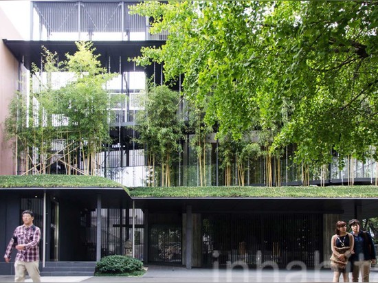 A lush bamboo forest thrives atop the Ekouin Buddhist Temple in Tokyo