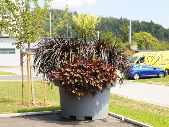 Large urban planters: the Köflach example