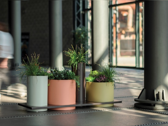 Planter Polys
