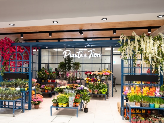 Supermarket - Province of Caserta