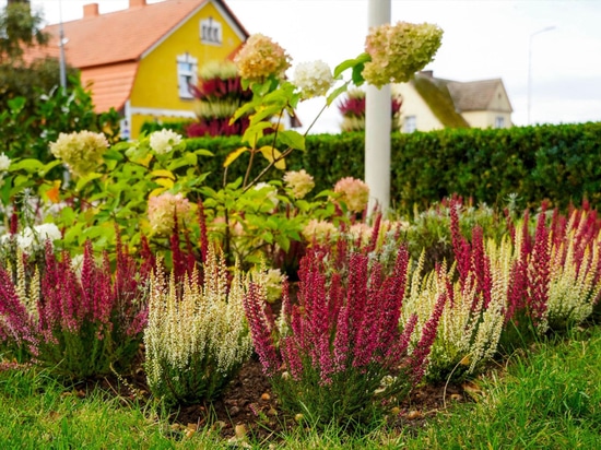 Flower Towers in autumn: the Barwice example