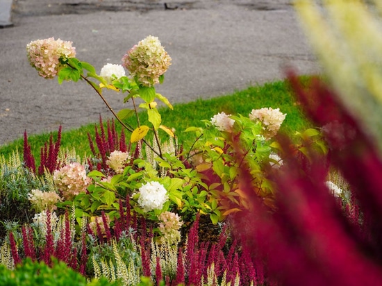 Flower Towers in autumn: the Barwice example
