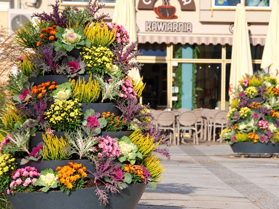 Autumn Flower Towers: the Świnoujście example