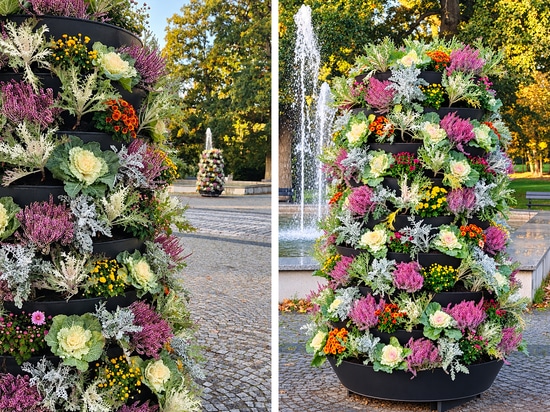 Autumn Flower Towers: the Świnoujście example