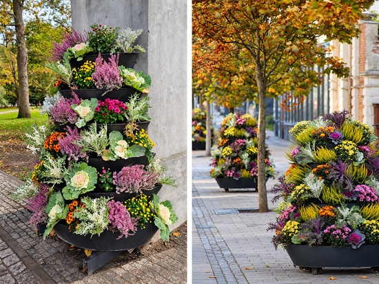 Autumn Flower Towers: the Świnoujście example