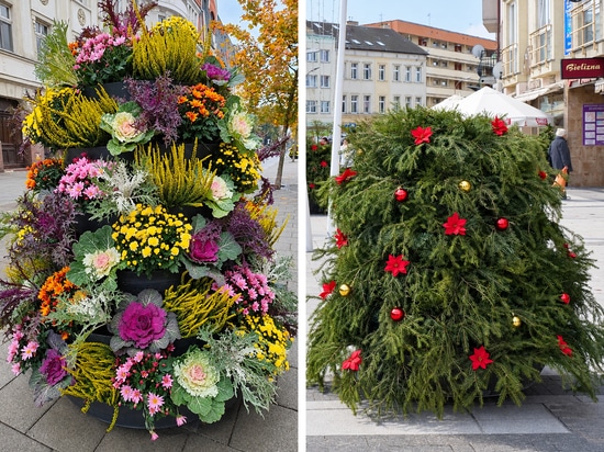 Autumn Flower Towers: the Świnoujście example