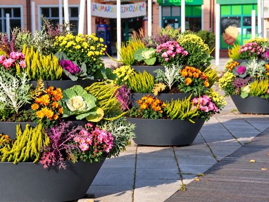 Autumn Flower Towers: the Świnoujście example
